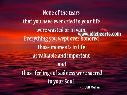 None of the tears that you have ever cried in life were wasted. Dr Jeff Mullan Picture Quote
