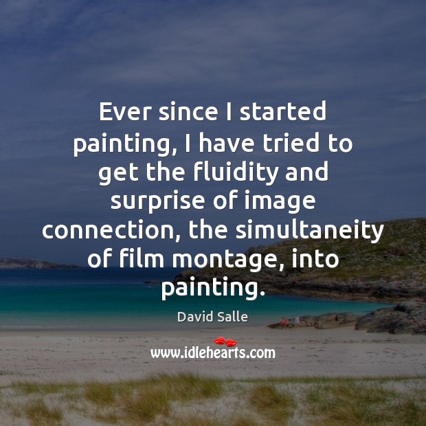 Ever since I started painting, I have tried to get the fluidity David Salle Picture Quote