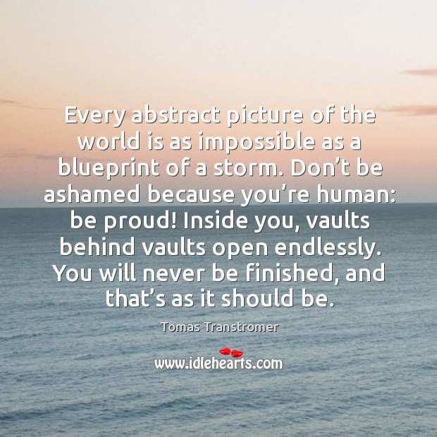 Every abstract picture of the world is as impossible as a blueprint of a storm. Proud Quotes Image