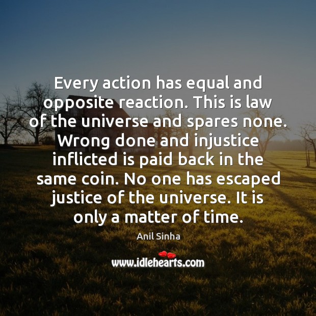 Every action has equal and opposite reaction. This is law of the Anil Sinha Picture Quote