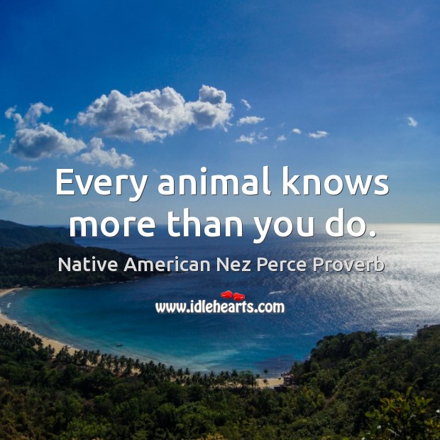 Every animal knows more than you do. Native American Nez Perce Proverbs Image