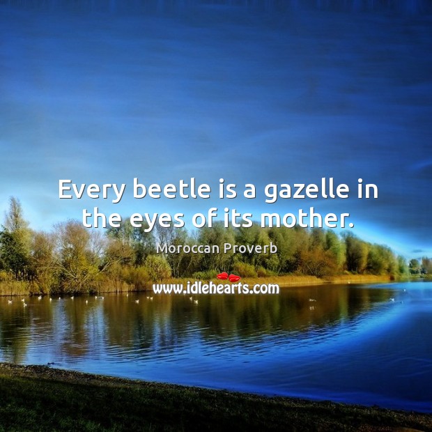 Every beetle is a gazelle in the eyes of its mother. Image