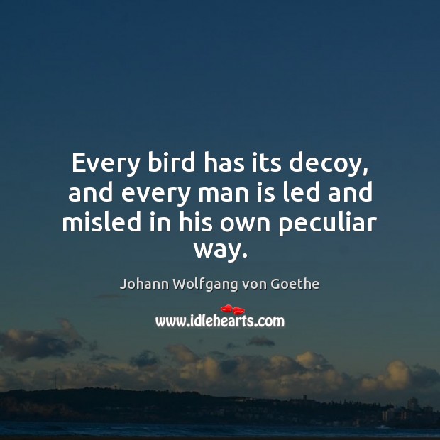 Every bird has its decoy, and every man is led and misled in his own peculiar way. Johann Wolfgang von Goethe Picture Quote