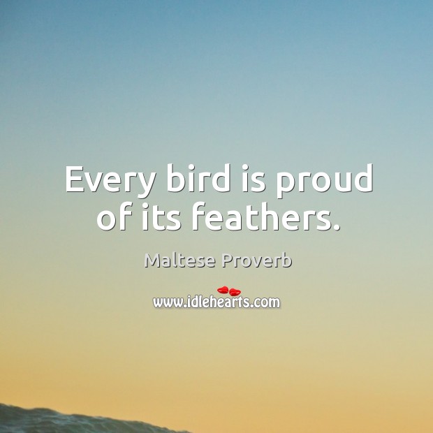 Every bird is proud of its feathers. Maltese Proverbs Image