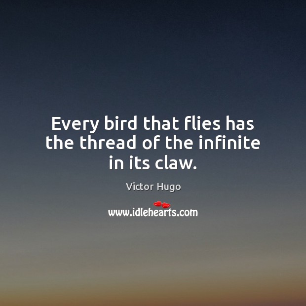 Every bird that flies has the thread of the infinite in its claw. Victor Hugo Picture Quote