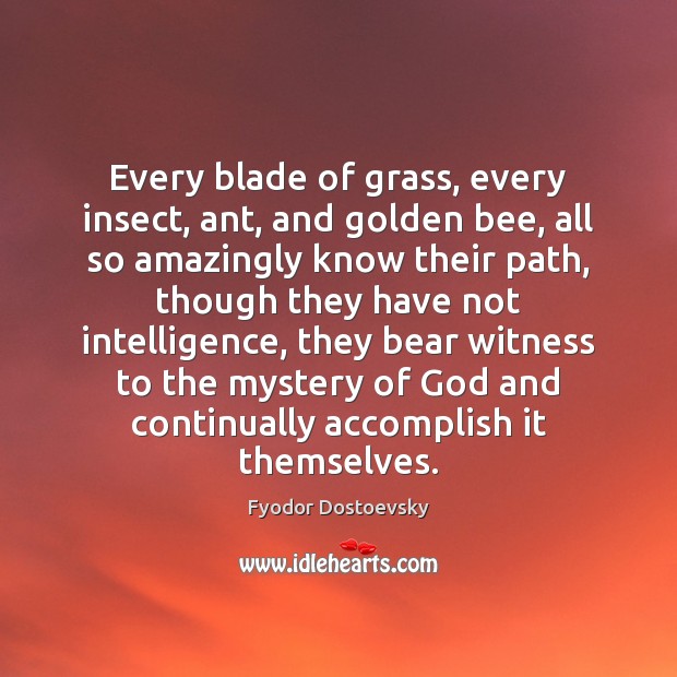 Every blade of grass, every insect, ant, and golden bee, all so Fyodor Dostoevsky Picture Quote