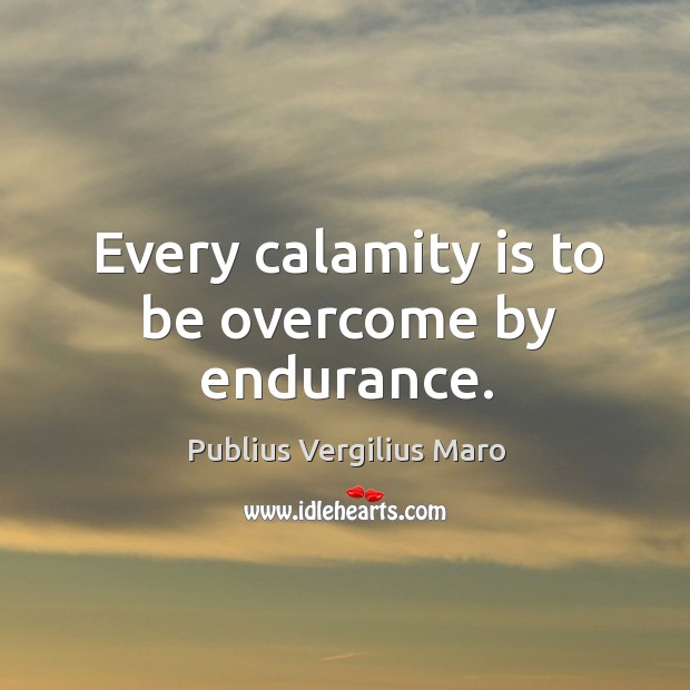 Every calamity is to be overcome by endurance. Image