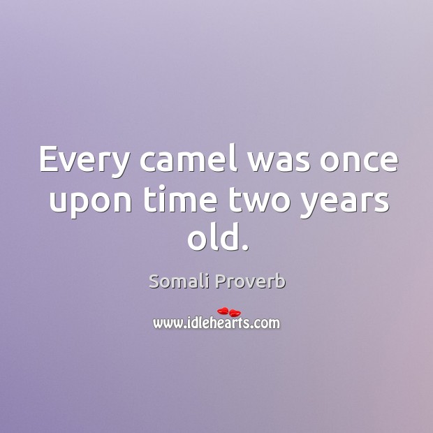 Every camel was once upon time two years old. Somali Proverbs Image