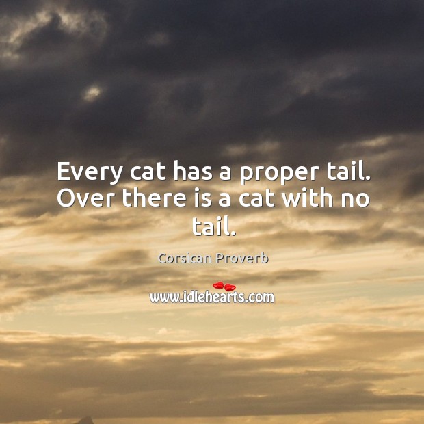 Every cat has a proper tail. Over there is a cat with no tail. Corsican Proverbs Image