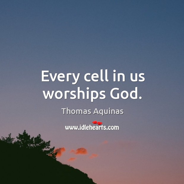 Every cell in us worships God. Image