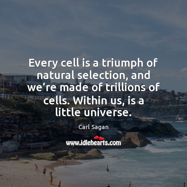 Every cell is a triumph of natural selection, and we’re made Image