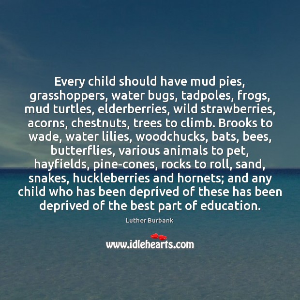 Every child should have mud pies, grasshoppers, water bugs, tadpoles, frogs, mud 