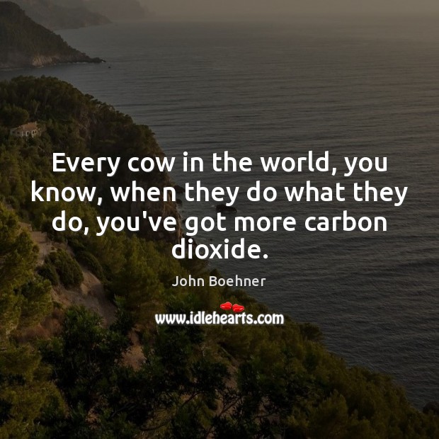 Every cow in the world, you know, when they do what they John Boehner Picture Quote
