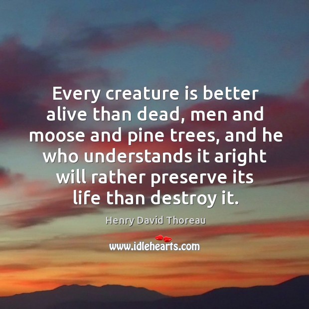 Every creature is better alive than dead, men and moose and pine trees Henry David Thoreau Picture Quote