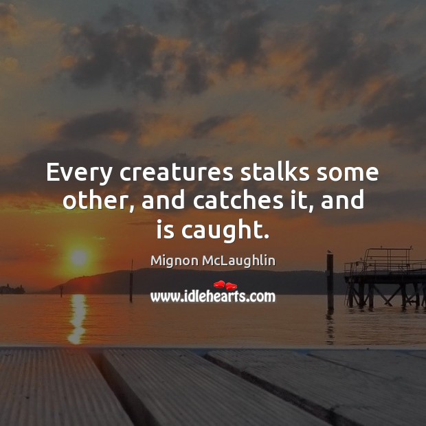 Every creatures stalks some other, and catches it, and is caught. Mignon McLaughlin Picture Quote