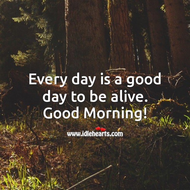 Every day is a good day to be alive. Good Morning Quotes Image