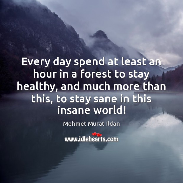 Every day spend at least an hour in a forest to stay Mehmet Murat Ildan Picture Quote