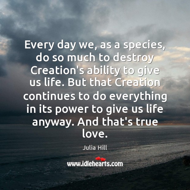 Every day we, as a species, do so much to destroy Creation’s Julia Hill Picture Quote