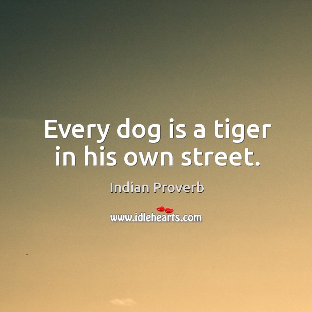 Every dog is a tiger in his own street. Indian Proverbs Image