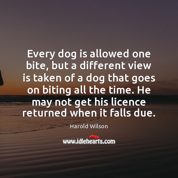 Every dog is allowed one bite, but a different view is taken Harold Wilson Picture Quote