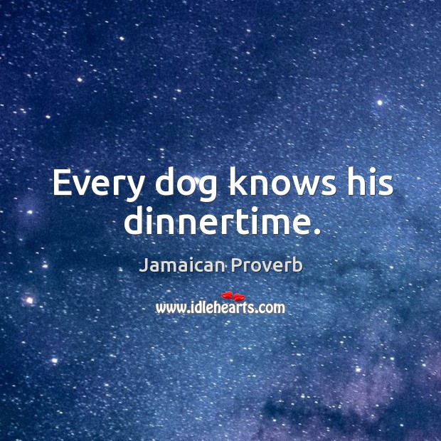 Every dog knows his dinnertime. Jamaican Proverbs Image