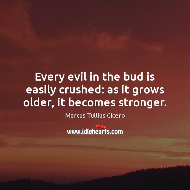 Every evil in the bud is easily crushed: as it grows older, it becomes stronger. Marcus Tullius Cicero Picture Quote