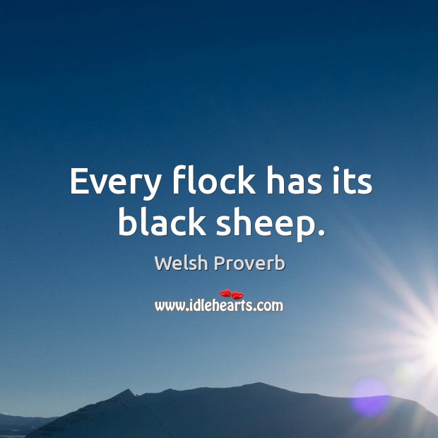 Every flock has its black sheep. Welsh Proverbs Image