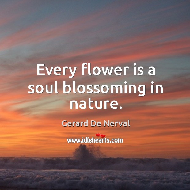 Every flower is a soul blossoming in nature. Gerard De Nerval Picture Quote