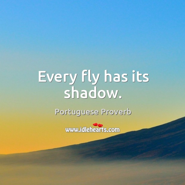 Every fly has its shadow. Portuguese Proverbs Image