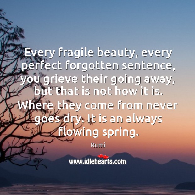 Every fragile beauty, every perfect forgotten sentence, you grieve their going away, Image