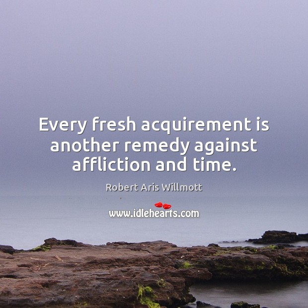 Every fresh acquirement is another remedy against affliction and time. Image
