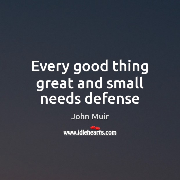 Every good thing great and small needs defense John Muir Picture Quote