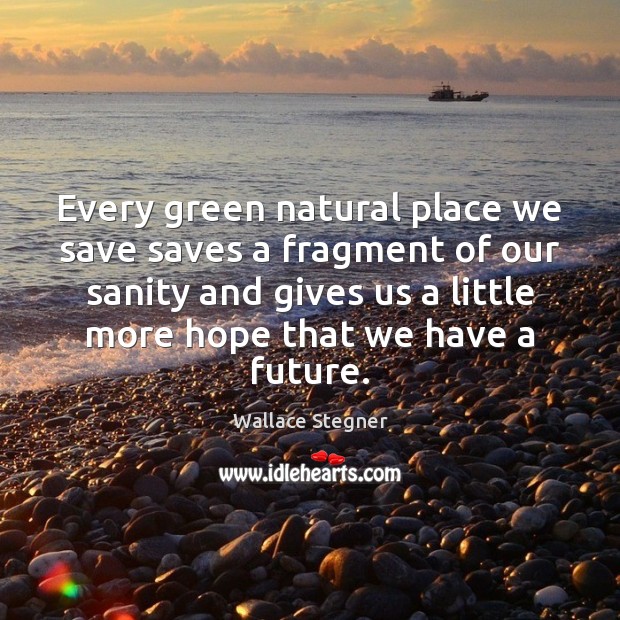 Every green natural place we save saves a fragment of our sanity Wallace Stegner Picture Quote