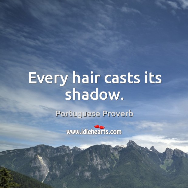Every hair casts its shadow. Image