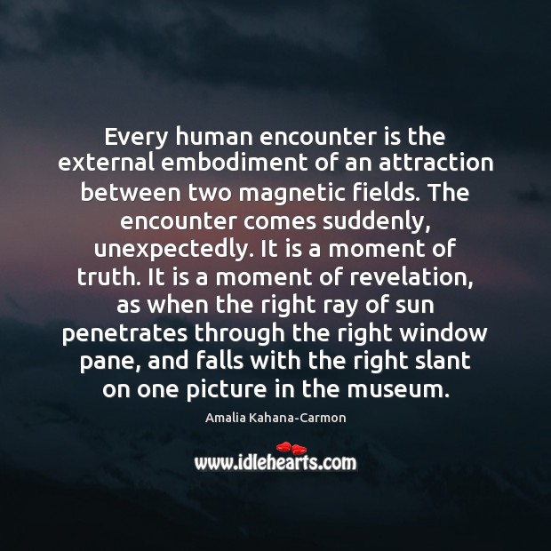 Every human encounter is the external embodiment of an attraction between two Amalia Kahana-Carmon Picture Quote