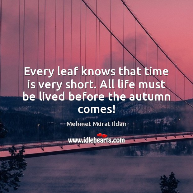 Every leaf knows that time is very short. All life must be lived before the autumn comes! Image