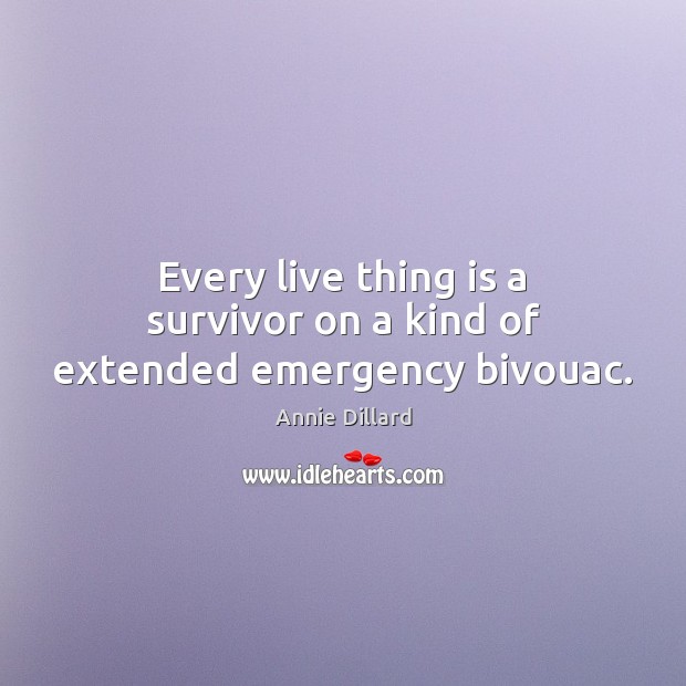 Every live thing is a survivor on a kind of extended emergency bivouac. Annie Dillard Picture Quote