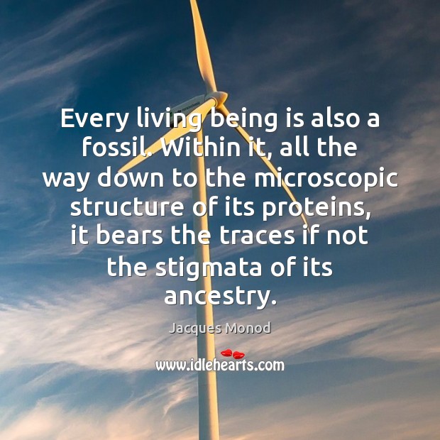 Every living being is also a fossil. Within it, all the way Jacques Monod Picture Quote