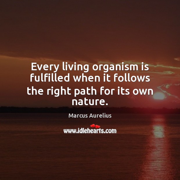Every living organism is fulfilled when it follows the right path for its own nature. Image