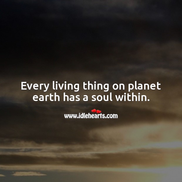 Every living thing on planet earth has a soul within. Earth Quotes Image