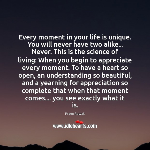 Every moment in your life is unique. You will never have two Appreciate Quotes Image