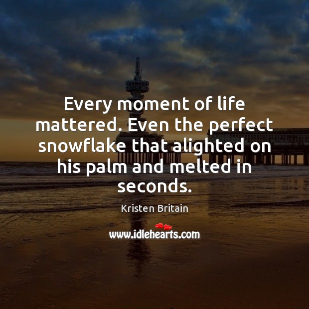 Every moment of life mattered. Even the perfect snowflake that alighted on Kristen Britain Picture Quote