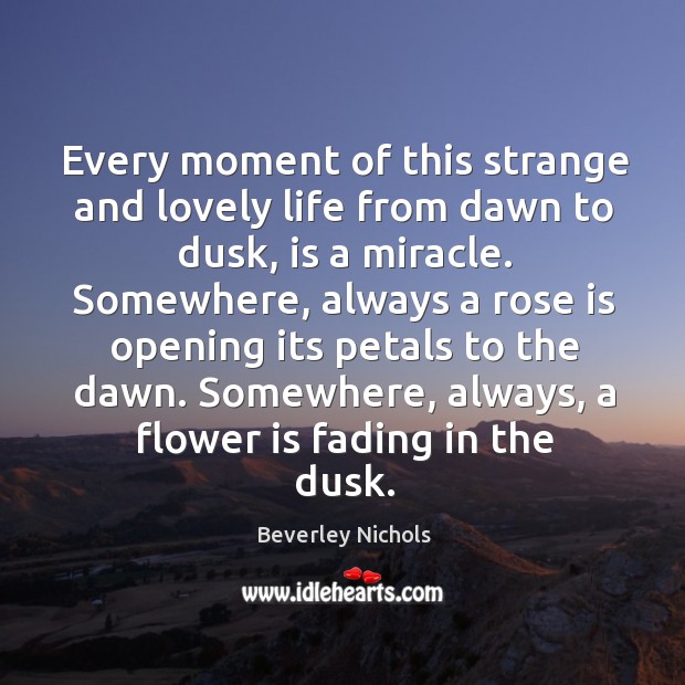 Every moment of this strange and lovely life from dawn to dusk, Beverley Nichols Picture Quote