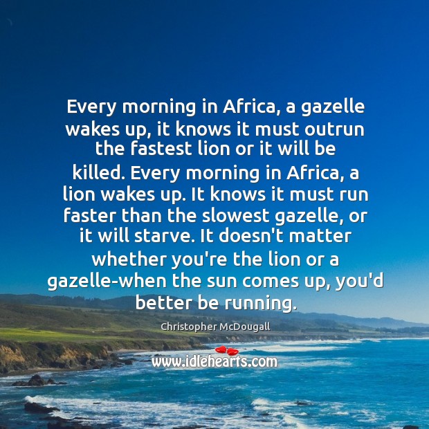 Every morning in Africa, a gazelle wakes up, it knows it must Christopher McDougall Picture Quote