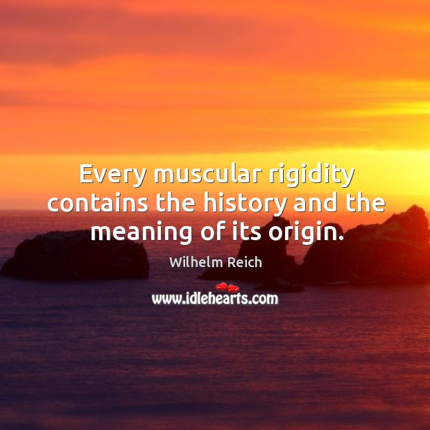 Every muscular rigidity contains the history and the meaning of its origin. 