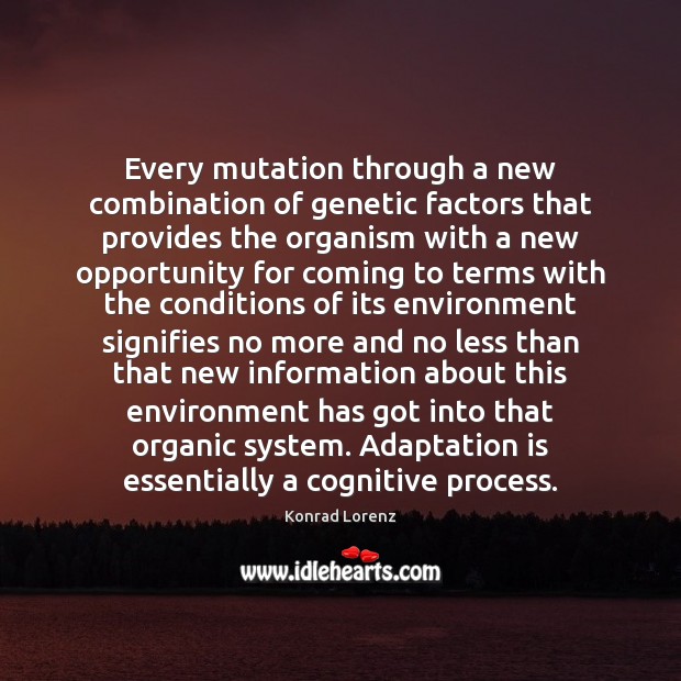 Every mutation through a new combination of genetic factors that provides the Konrad Lorenz Picture Quote