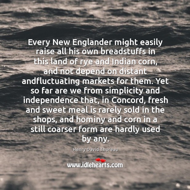 Every New Englander might easily raise all his own breadstuffs in this Image