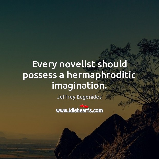 Every novelist should possess a hermaphroditic imagination. Jeffrey Eugenides Picture Quote