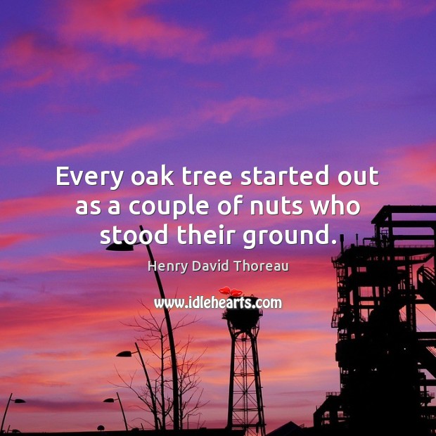 Every oak tree started out as a couple of nuts who stood their ground. Henry David Thoreau Picture Quote
