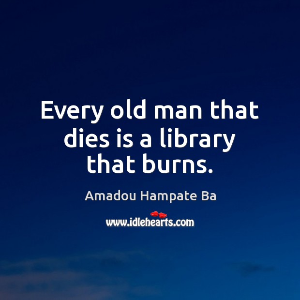 Every old man that dies is a library that burns. Amadou Hampate Ba Picture Quote